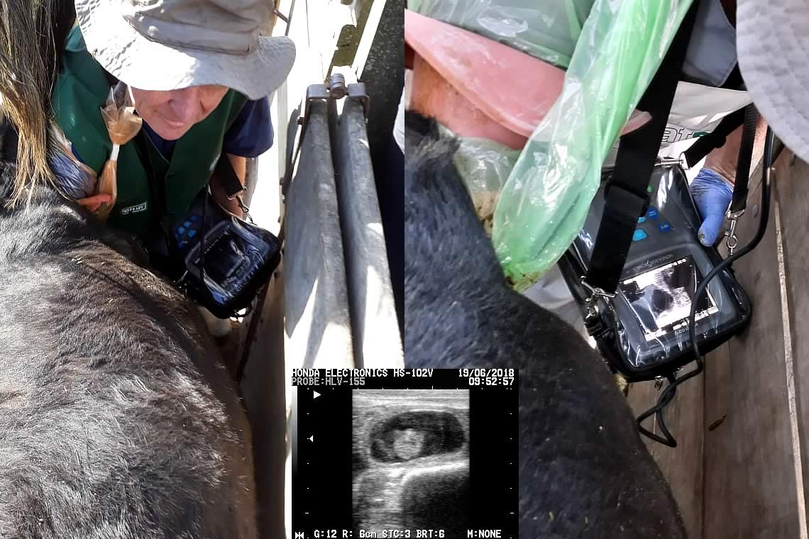 Veterinaria El Pretal