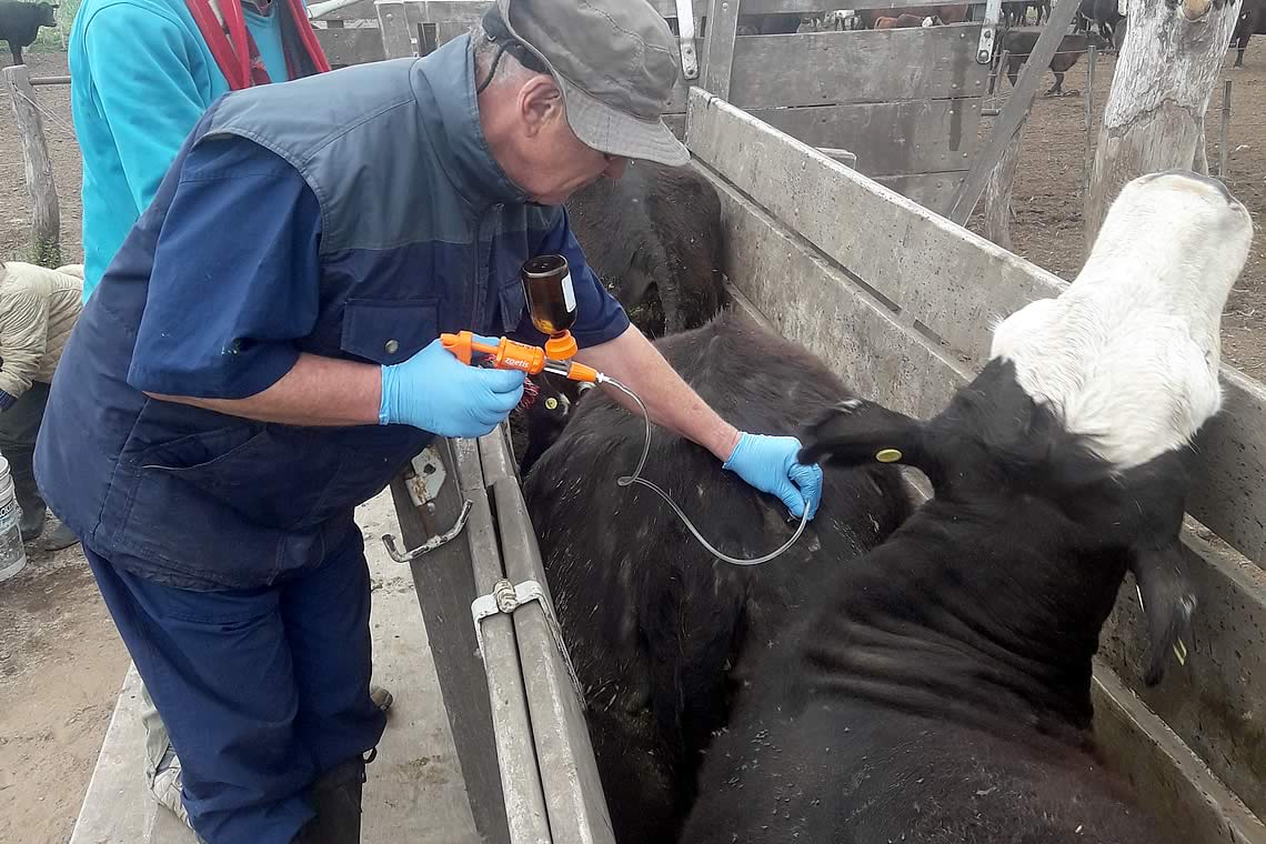 Veterinaria El Pretal